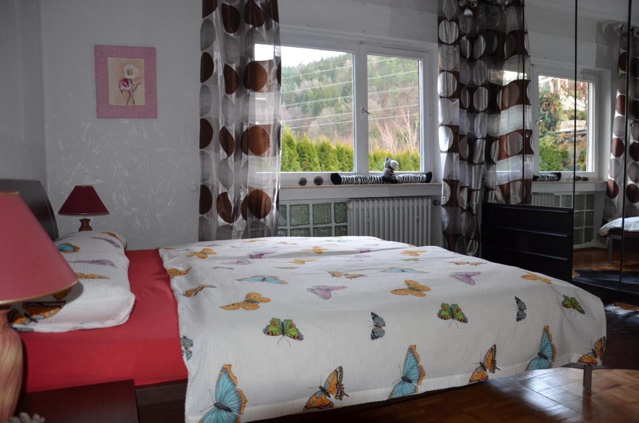 Ferienwohnung Klock Weisenbach Exteriér fotografie