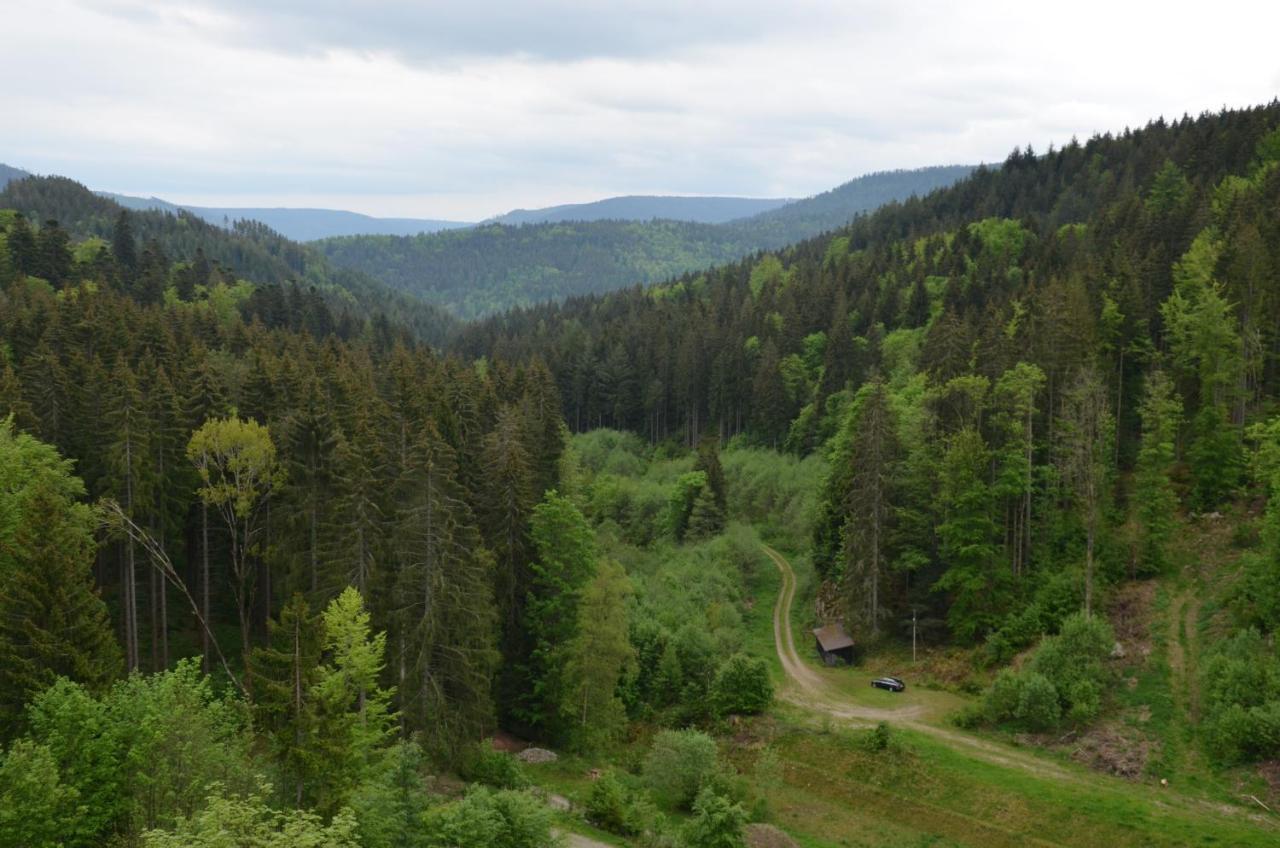 Ferienwohnung Klock Weisenbach Exteriér fotografie